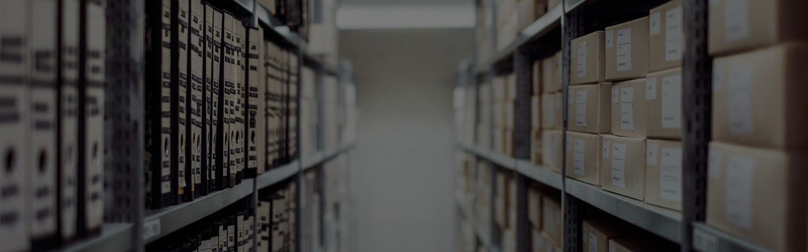 To Storage Solutions India Pvt Ltd SSIPL is a comprehensive